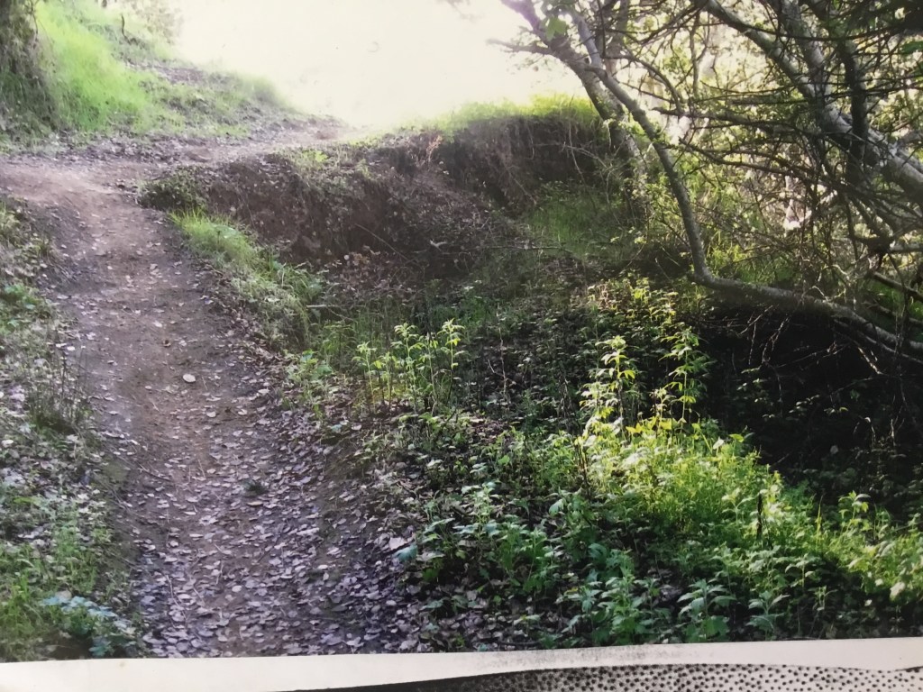 Landslide 1998